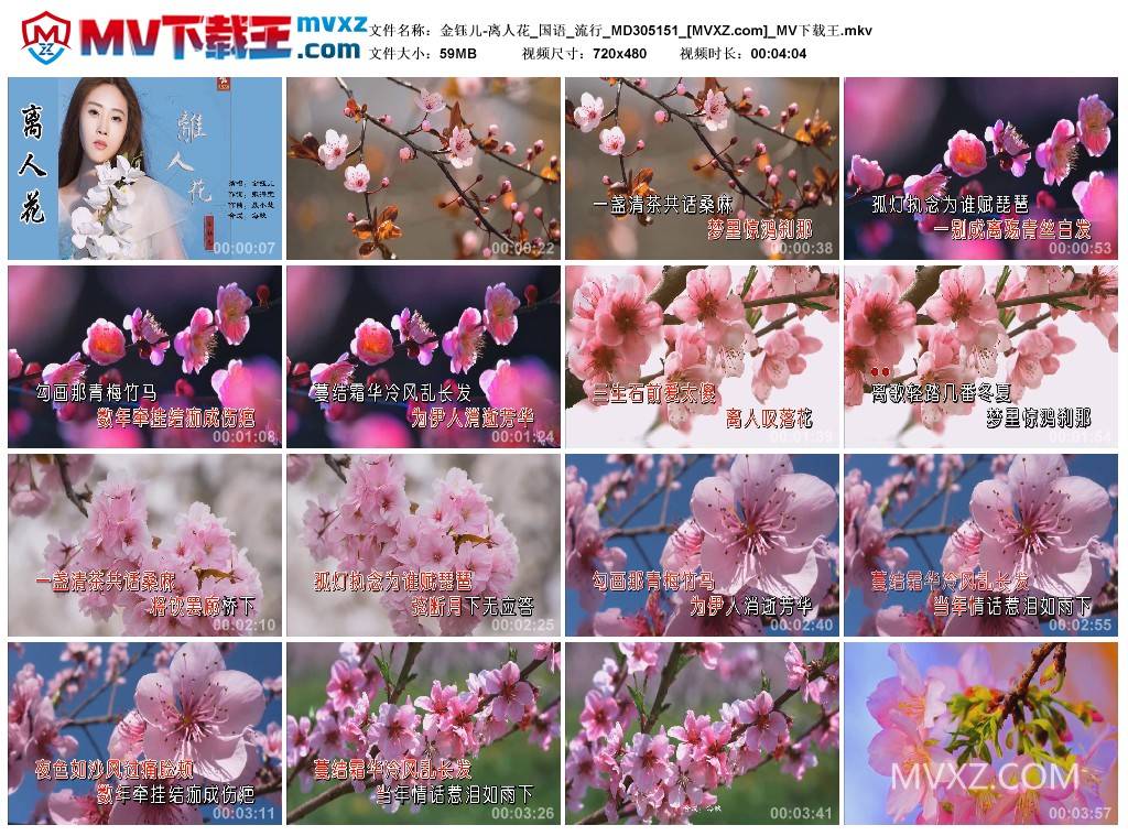 金钰儿-离人花_国语_流行_MD305151